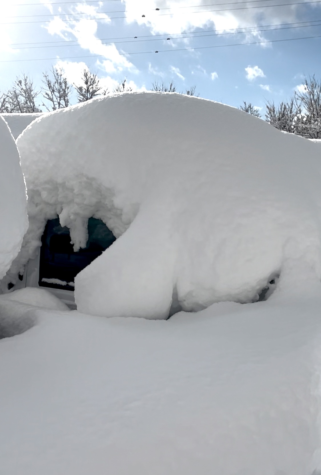 大雪に困って、新年開始。 アイキャッチ画像