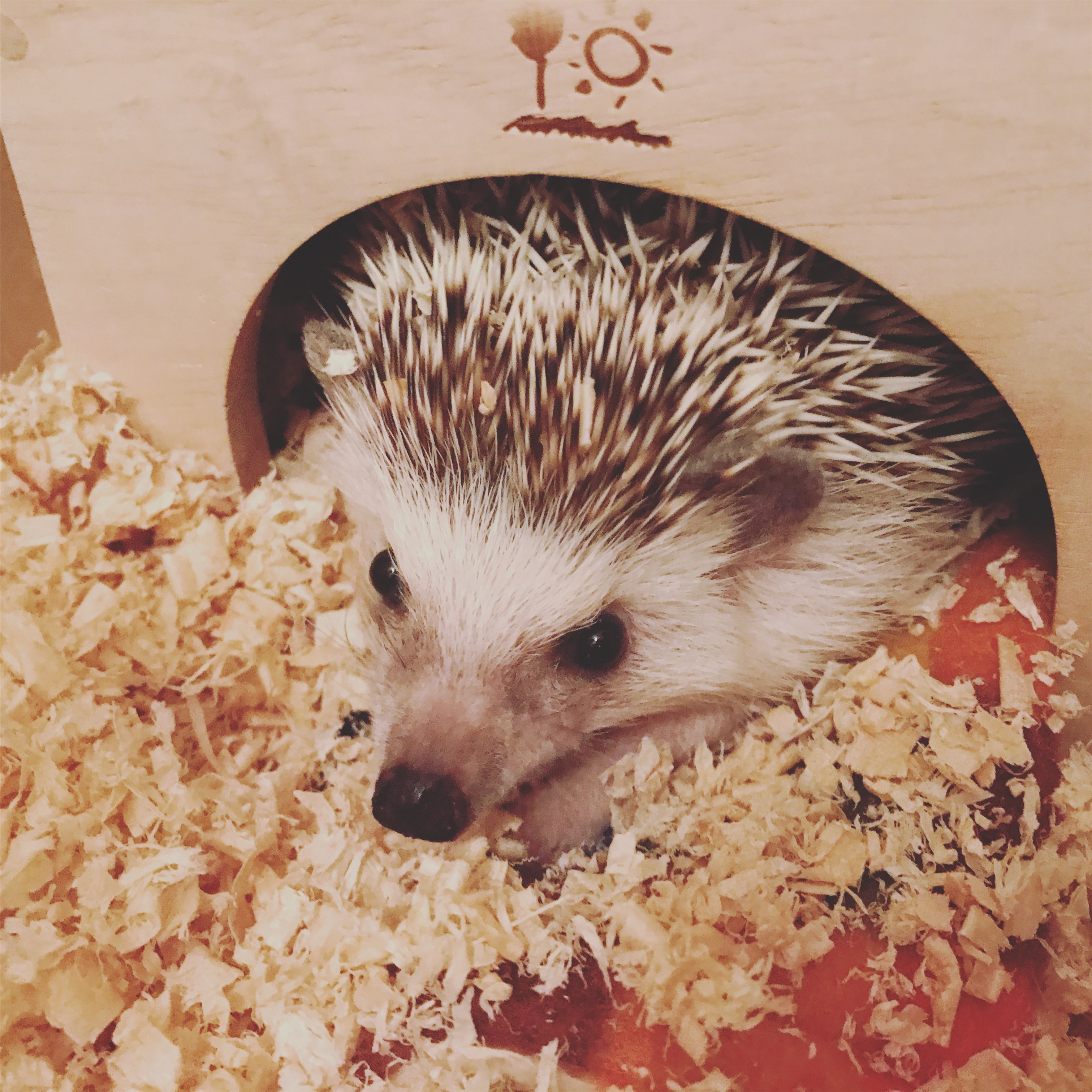 【SDGs】#番外編 巡り巡る。 画像