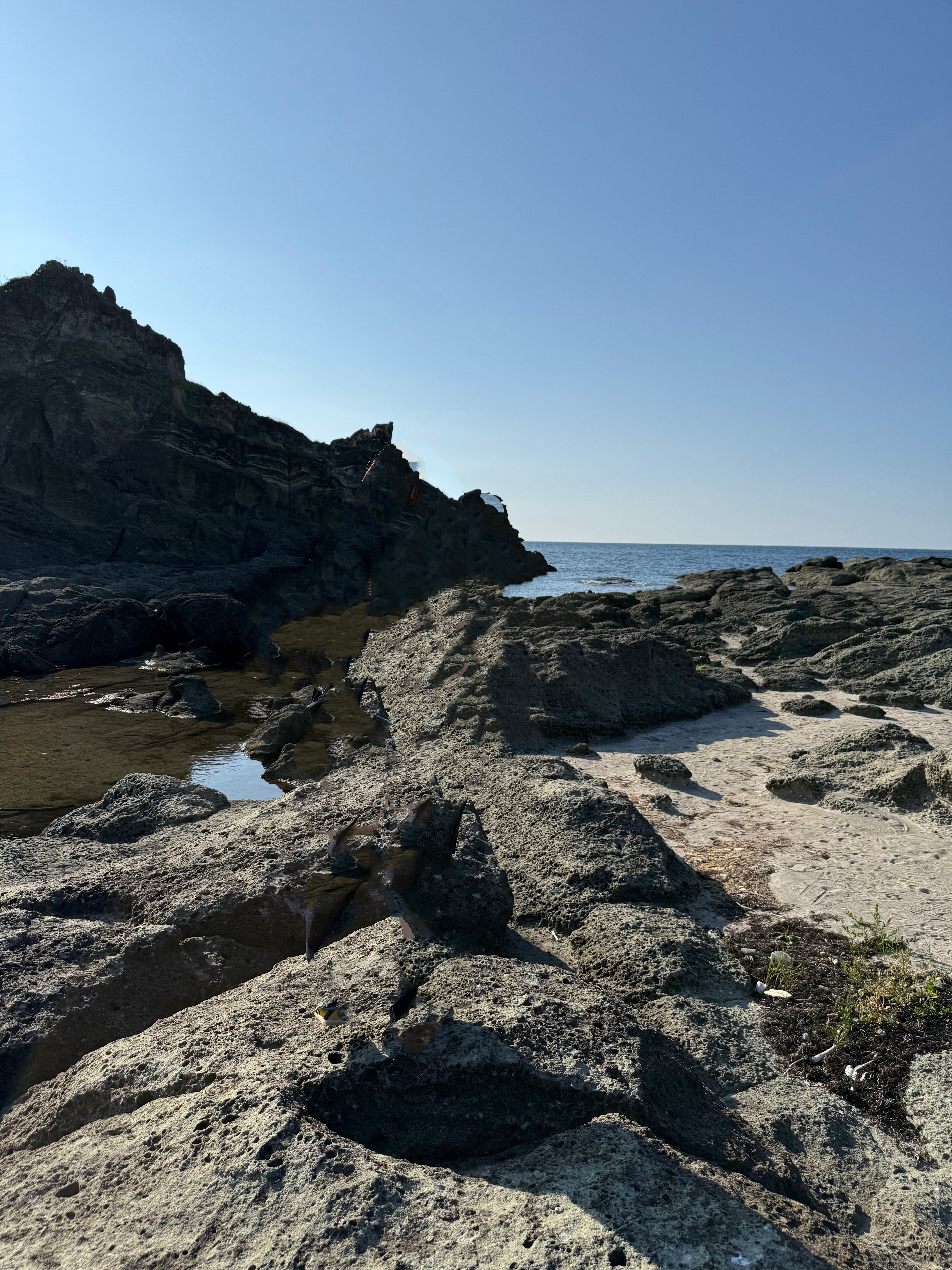 嫌いだったけど… アイキャッチ画像