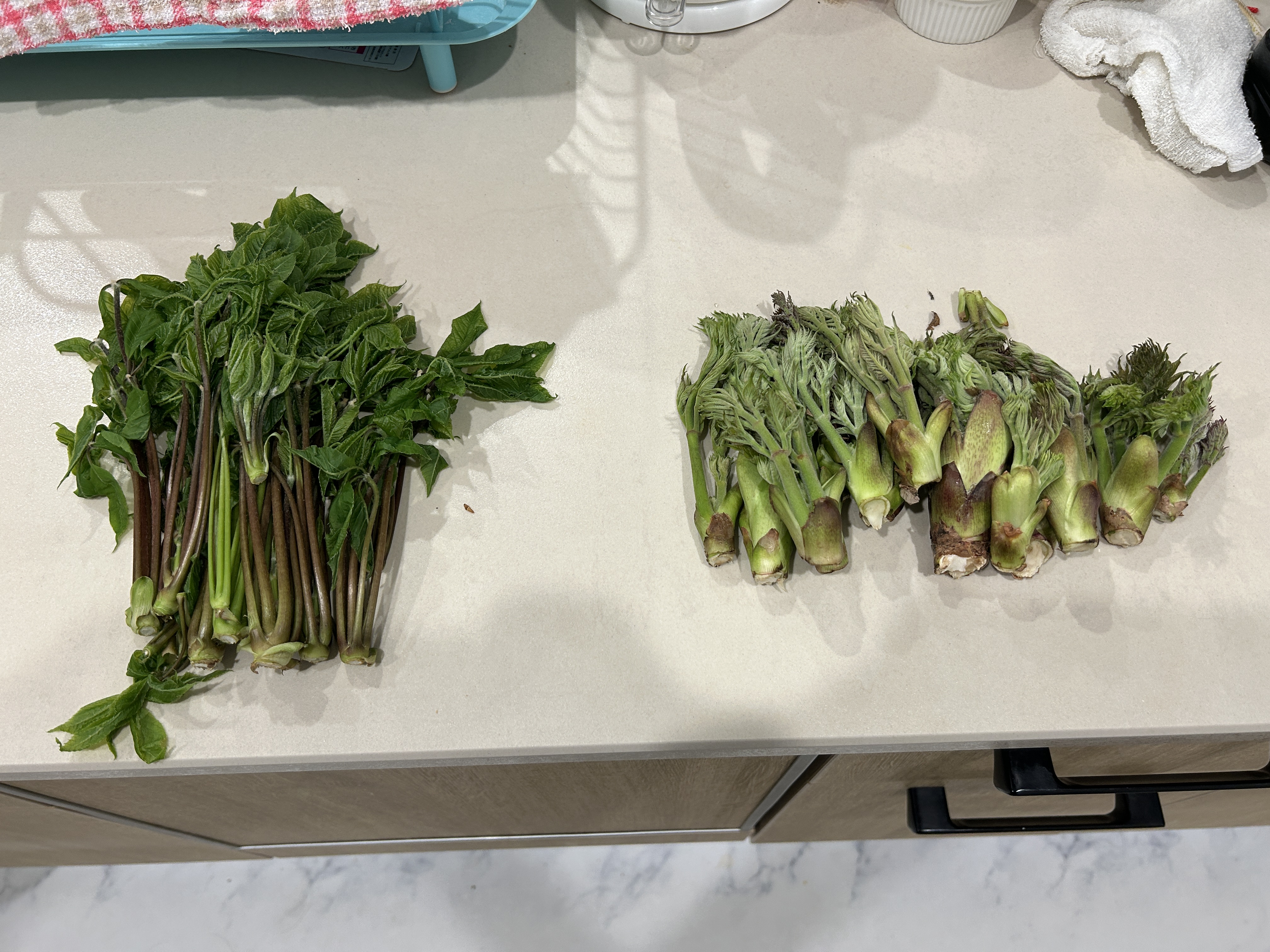 旬をいただくぅ!!!!! アイキャッチ画像