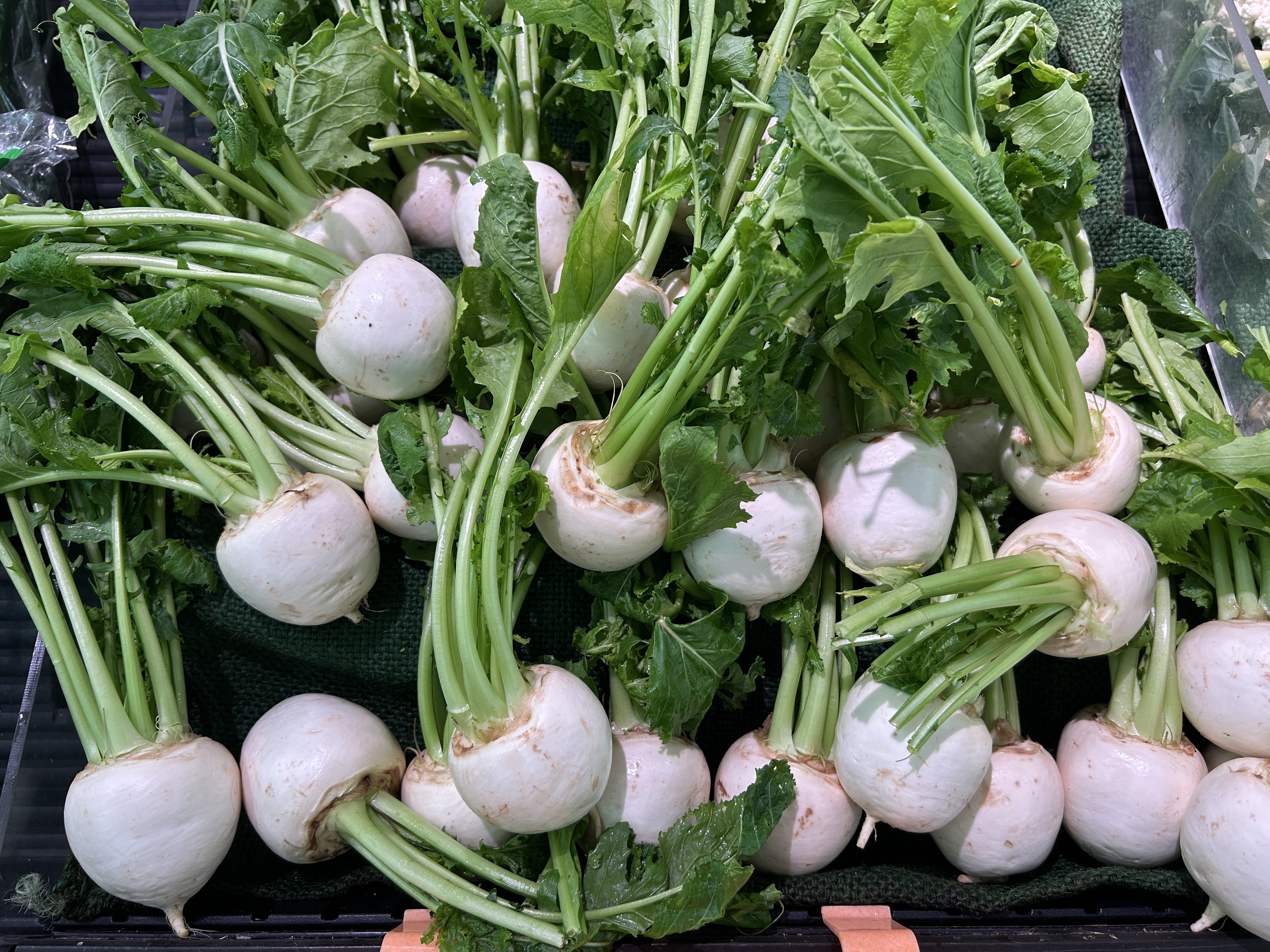 カブ主になりました。 アイキャッチ画像