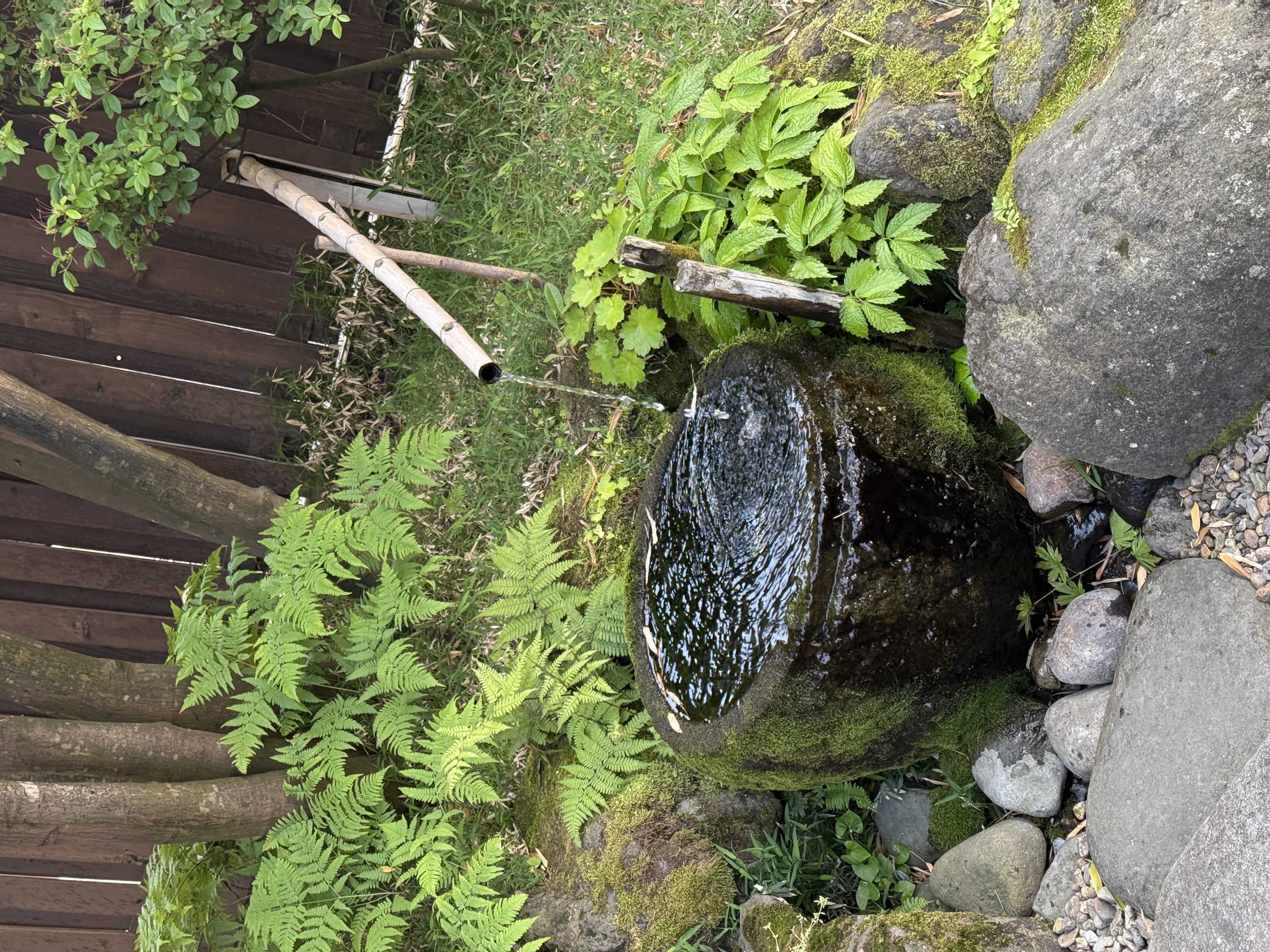 いい湯だな~♨ アイキャッチ画像